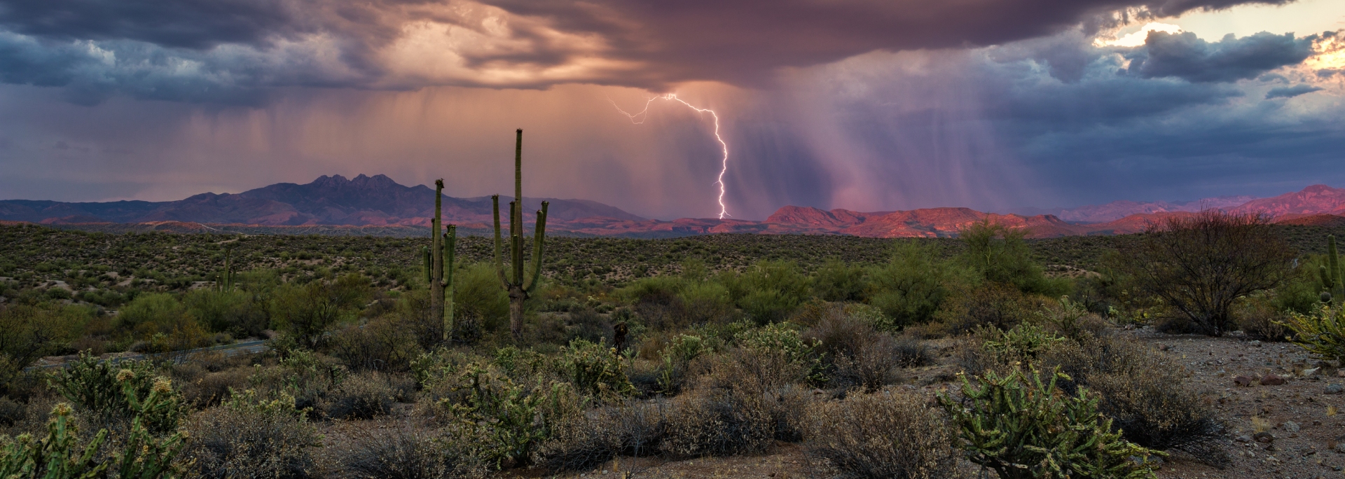 
		Thunderstorm in the desert with lightning strike over mountains.		