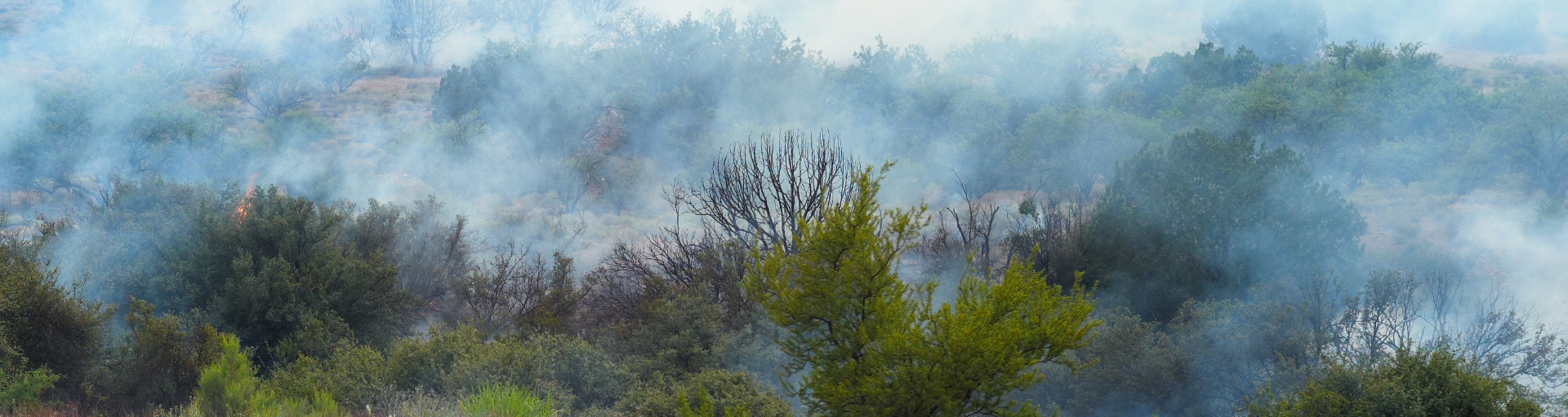 
		Heavy smoke over a desert brush fire		