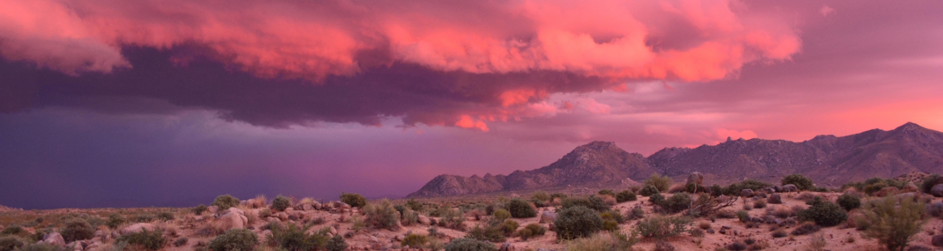 A cloudy day in the desert