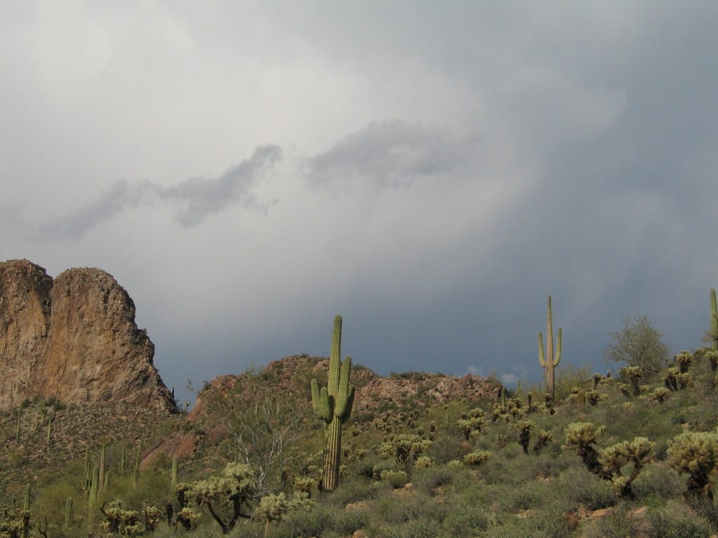 View of storm clouds over desert mountainside covered with saguaros and other desert vegetation.