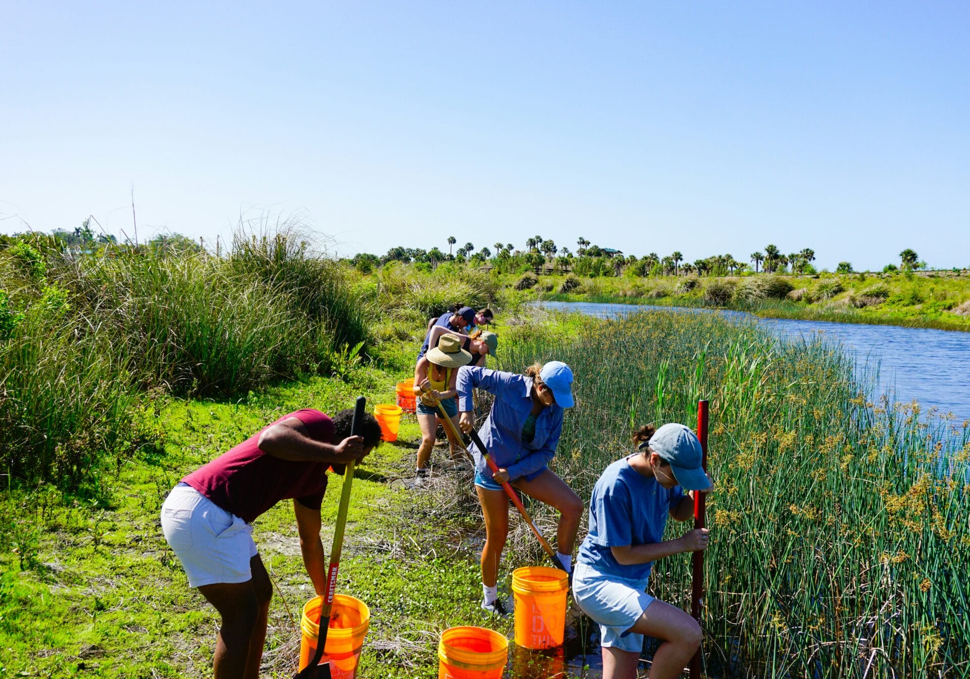 Sampling efforts by several individuals with orange 5-gallon bucket and shovels along side a stream