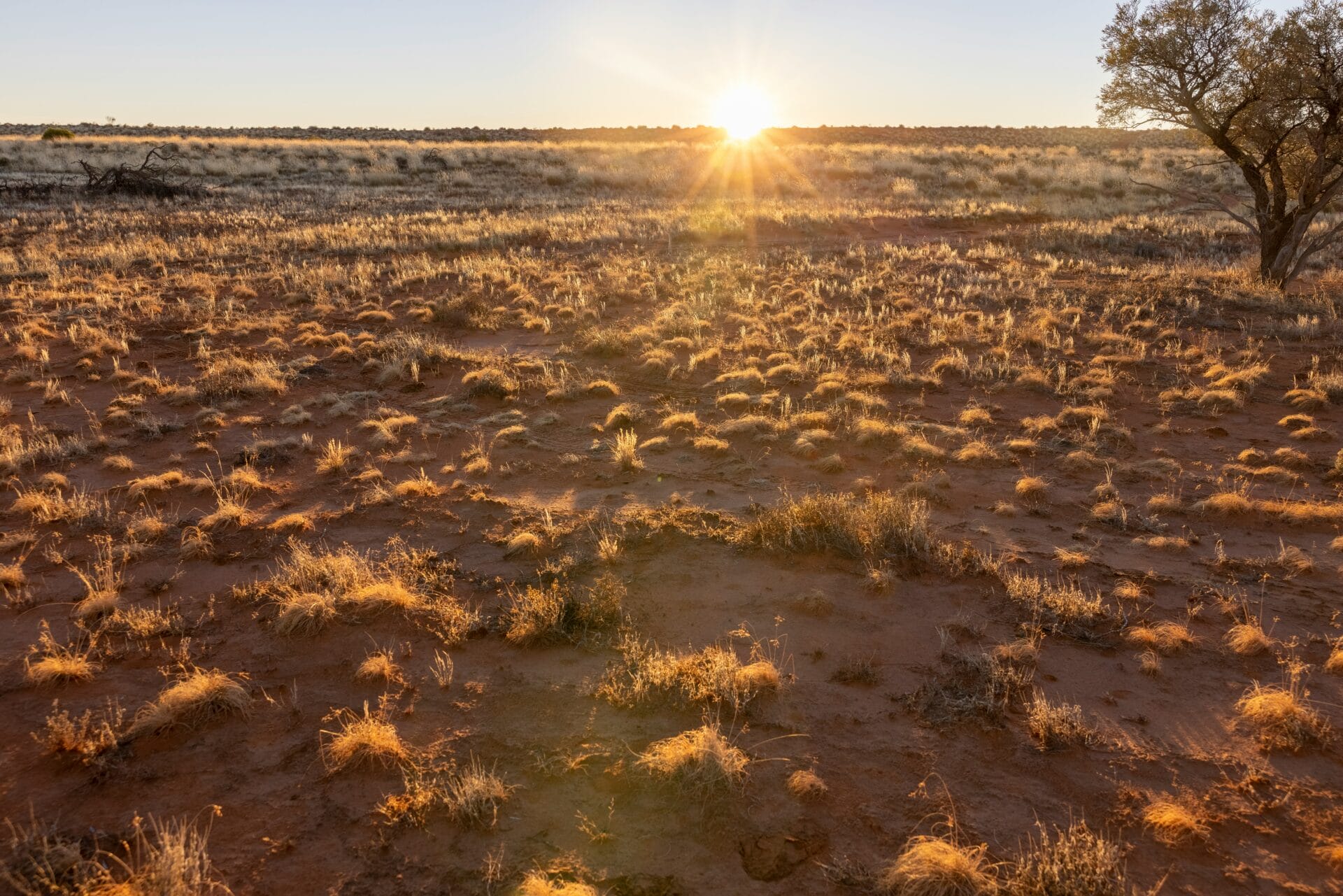 Sunset on the horizon over a sparsely vegetated landscape.