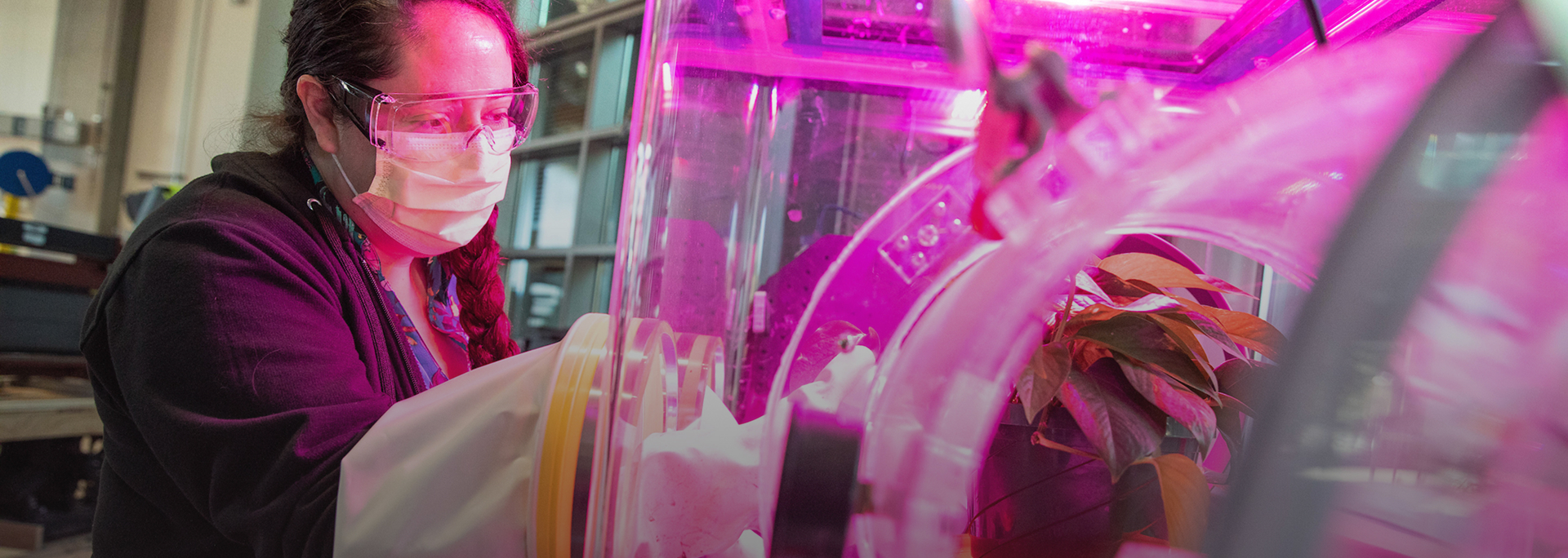 A researcher examines a plant lit by warm magenta light; a field of Mechanical Trees against a blue sky interspersed with puffy clouds.