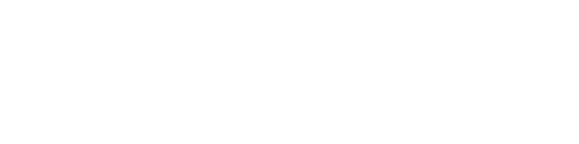 Complex Systems Research Group Logo