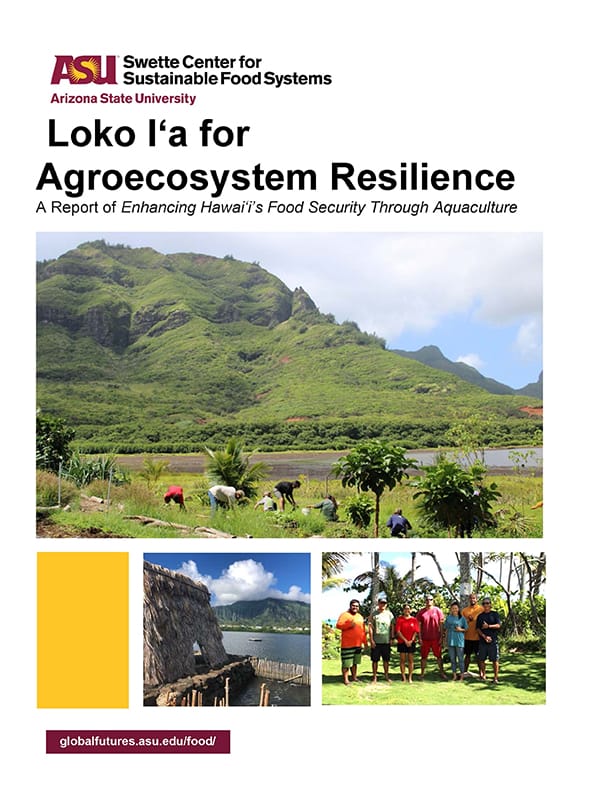 Cover of agroecosystem resilience report