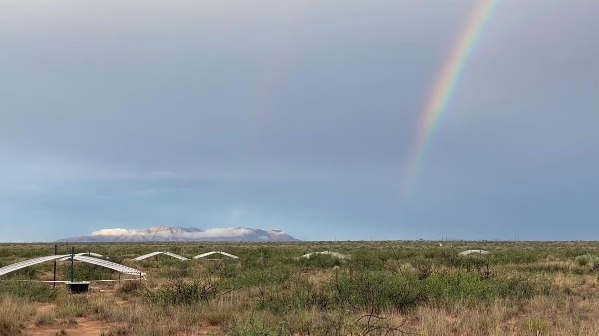 Experiment stations in desert with snow-capped mountains in background with a rainbow.