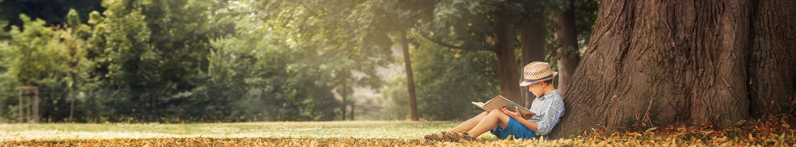 Child sitting under a tree reading a book.