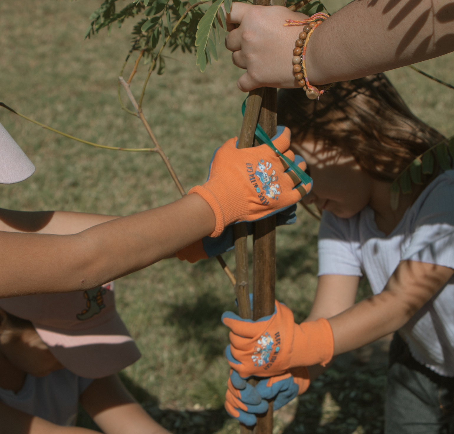 Children holding a tree while planting it. Photo credit: Jenny Carrillo