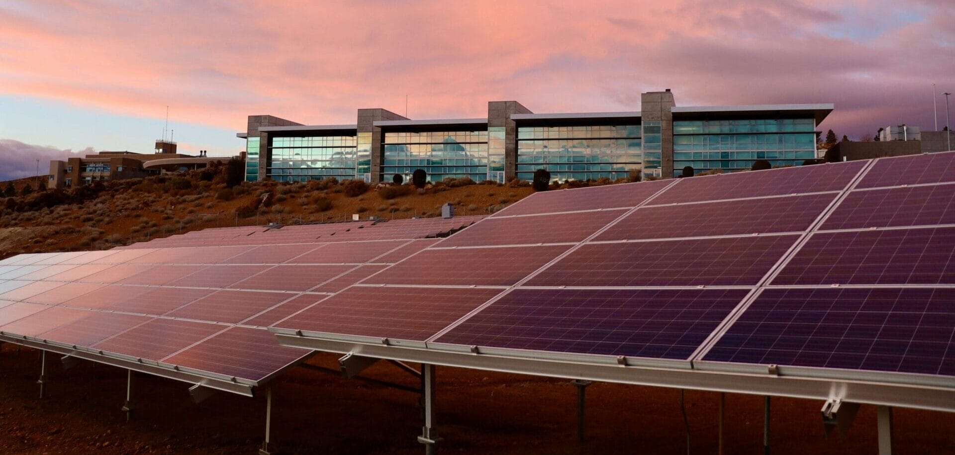 Solar panels on green trees