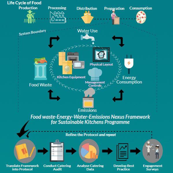 Life Cycle of Food graphic