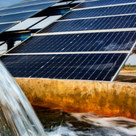 Solar panels in a wheat field.