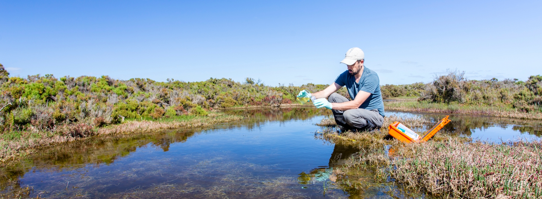 A researcher collecting water samples from a marsh.