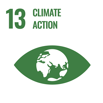 Icon for Life Below Water SDG of fish under some waves.