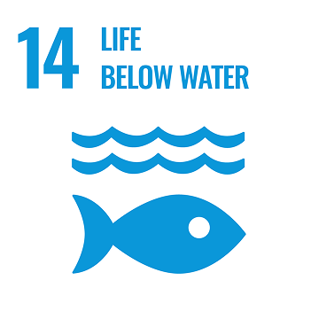 Icon for Life Below Water SDH of fish under some waves.
