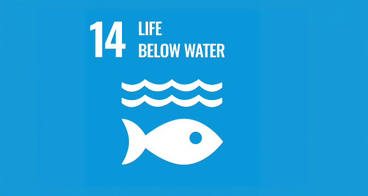 Logo for Sustainable Development Goal 14 Life below water